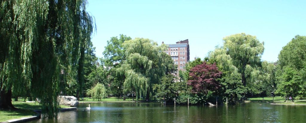 The Boston Public Garden, unchanged since the mid-19th century includes a six acre pond with seasonal swan boats.