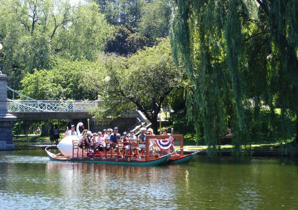Seasonally the swan boats ply the six acre pond in the Boston Public Garden. 
