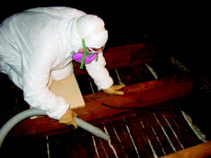 Cleaning the attic bays prior to installing insulation is critical.