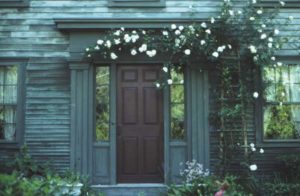 Antique Home with a weather blue gray exterior and blooming rose bower.