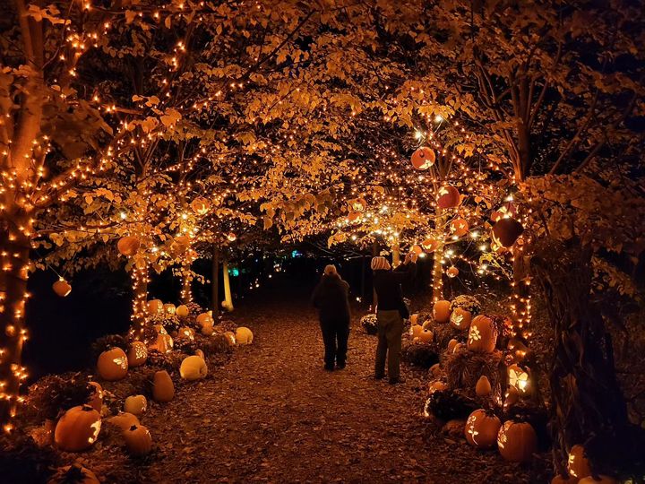 Naumkeag The Incredible Naumkeag Pumpkin Show through October 29th Reading Room Antique Homes